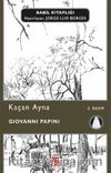 Kaçan Ayna
