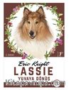 Lassie - Yuvaya Dönüş