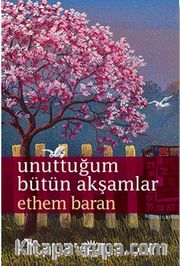 Unuttuğum Bütün Akşamlar