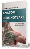 Anatomi Ders Notları 