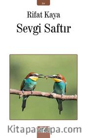 Sevgi Saftır