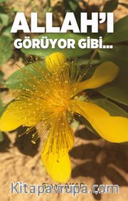 Allah’ı Görüyor Gibi…