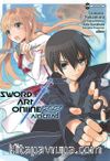 Sword Art Online : Aincrad