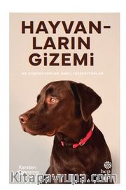 Hayvanların Gizemi