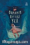 Ormanın Bittiği Yer