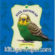 Evcil Hayvanlar / Dokun ve Hisset