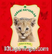 Yabani Hayvanlar / Dokun ve Hisset