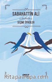 Sabahattin Ali Seçme Öyküler