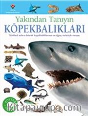 Köpekbalıkları - Yakından Tanıyın