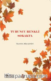 Turuncu Renkli Sokakta
