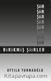 Birikmiş Şiirler