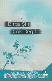 Biraz Şiir Çok Değil