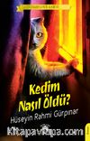 Kedim Nasıl Öldü?