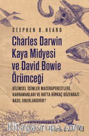 Charles Darwin Kaya Midyesi ve David Bowie Örümceği
