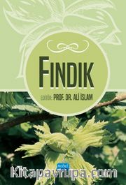 Fındık