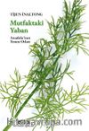 Mutfaktaki Yaban & Anadolu’nun Yenen Otları