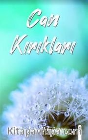 Can Kırıkları