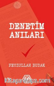 Denetim Anıları