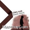 Güneş Alan