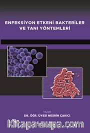 Enfeksiyon Etkeni Bakteriler ve Tanı Yöntemleri