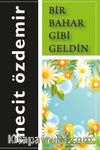 Bir Bahar Gibi Geldin