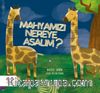Mahyamızı Nereye Asalım ?