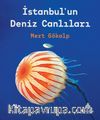İstanbul’un Deniz Canlıları