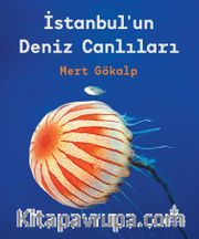 İstanbul’un Deniz Canlıları