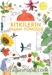Bitkilerin Yaşam Döngüsü
