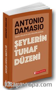 Şeylerin Tuhaf Düzeni