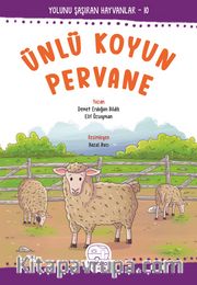 Ünlü Koyun Pervane