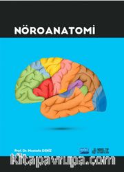 Nöroanatomi