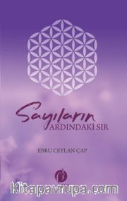Sayıların Ardındaki Sır