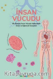 İnsan Vücudu