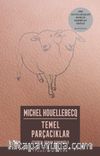 Temel Parçacıklar