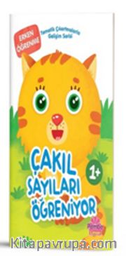 Tematik Çıkartmalarla Gelişim Serisi - Çakıl Sayıları Öğreniyor