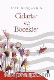 Cidarlar ve Böcekler