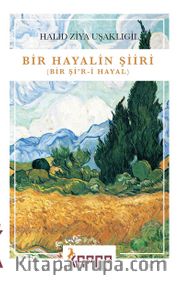 Bir Hayalin Şiiri