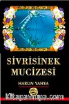 Sivrisinek Mucizesi