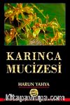 Karınca Mucizesi