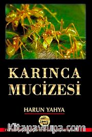 Karınca Mucizesi