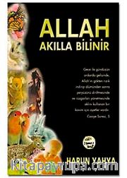 Allah Akılla Bilinir