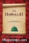 Ya Habiballah