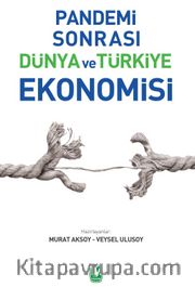 Pandemi Sonrası Dünya ve Türkiye Ekonomisi