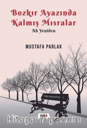 Bozkır Ayazında Kalmış Mısralar <br /> Ah Yeniden