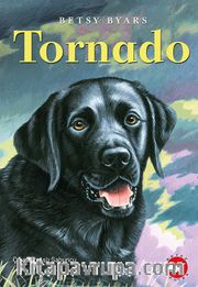 Tornado 