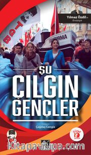 Şu Çılgın Gençler