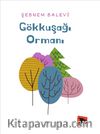 Gökkuşağı Ormanı