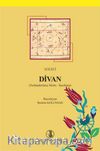Serayî Divan (Notlandırılmış Metin-İnceleme)