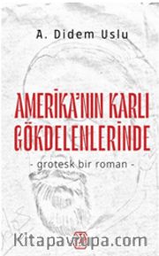 Amerika'nın Karlı Gökdelenlerinde